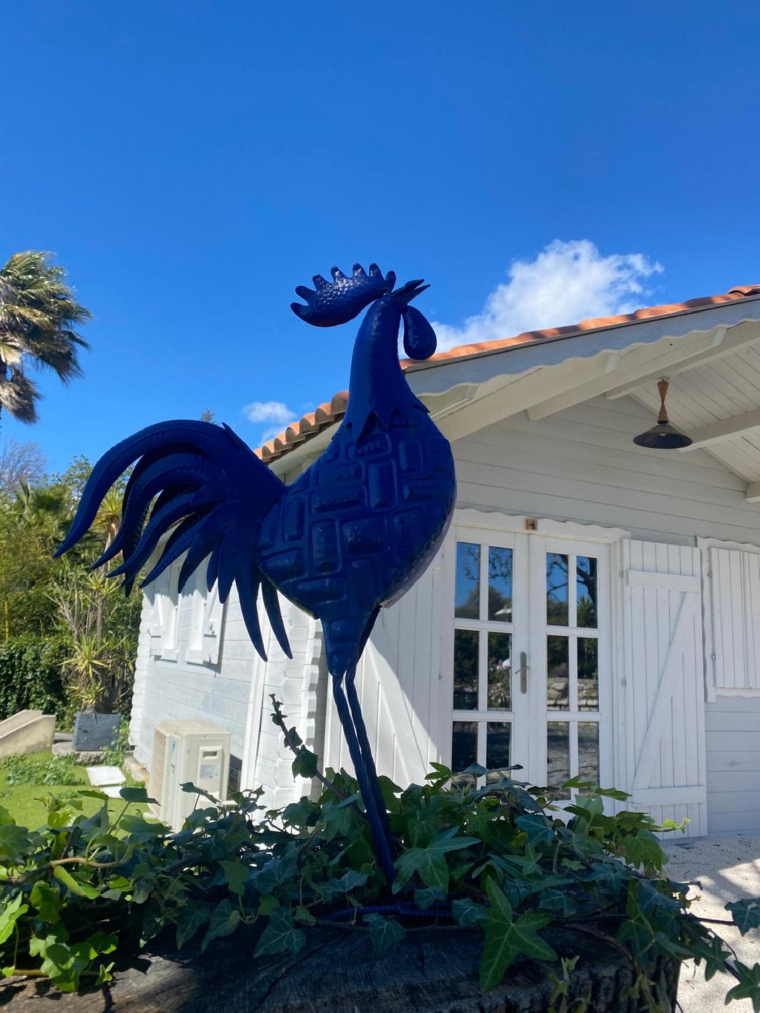 Maison Saint Paul Bnb La Colle-sur-Loup Exterior foto